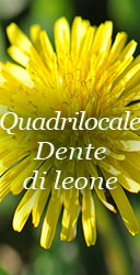 dente di leone